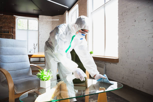 Trusted Cameron Park, CA Mold Removal & Remediation Experts